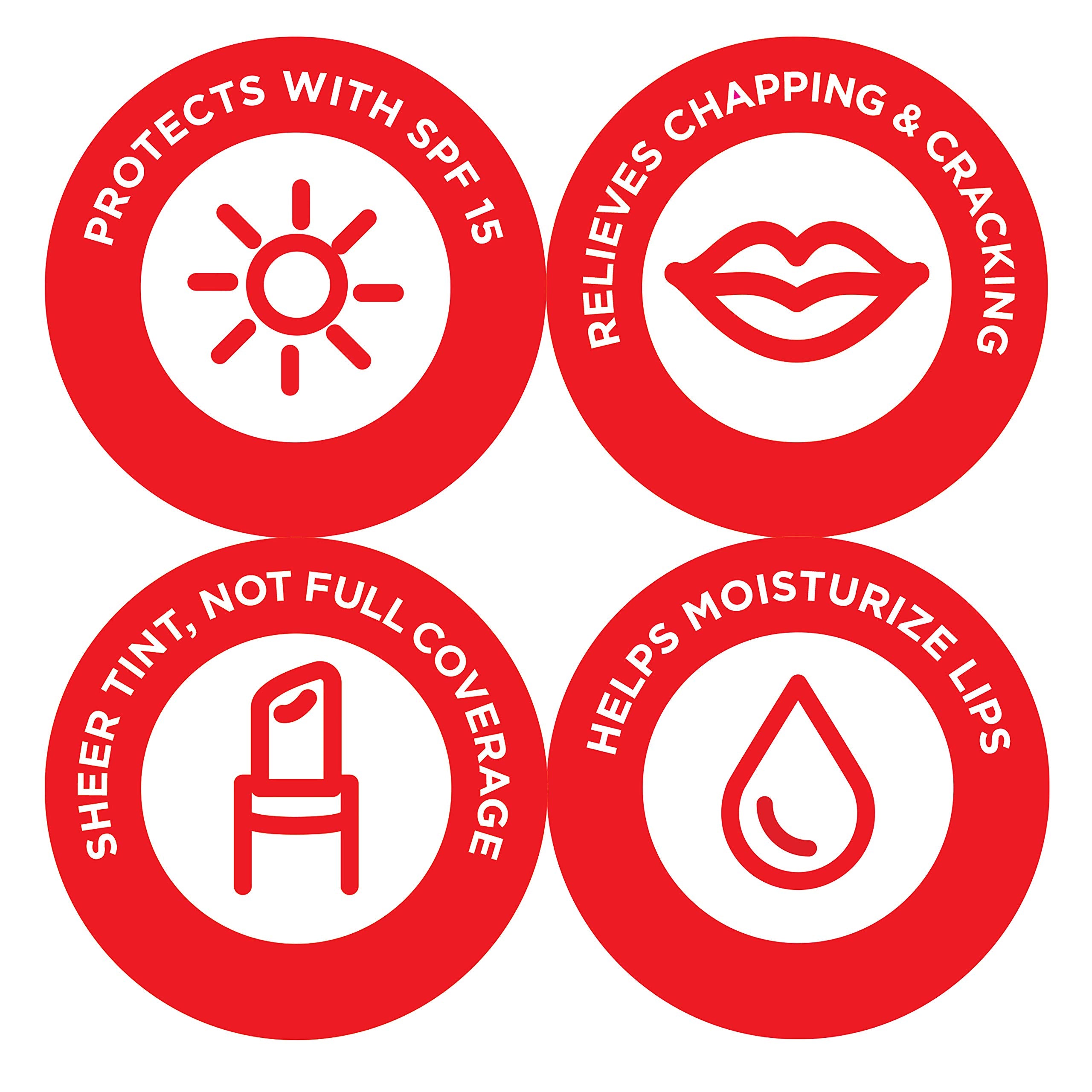 Elizabeth Arden 8 Hour Lip Protectant Stick, Plum 4, SPF 15